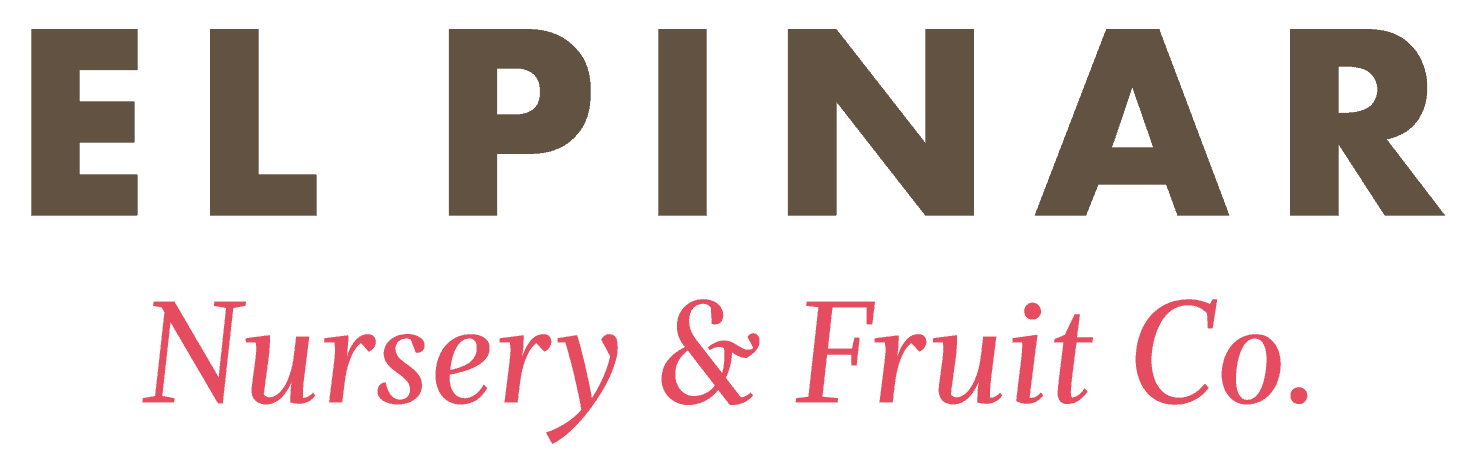 el pinar entregables wordmark