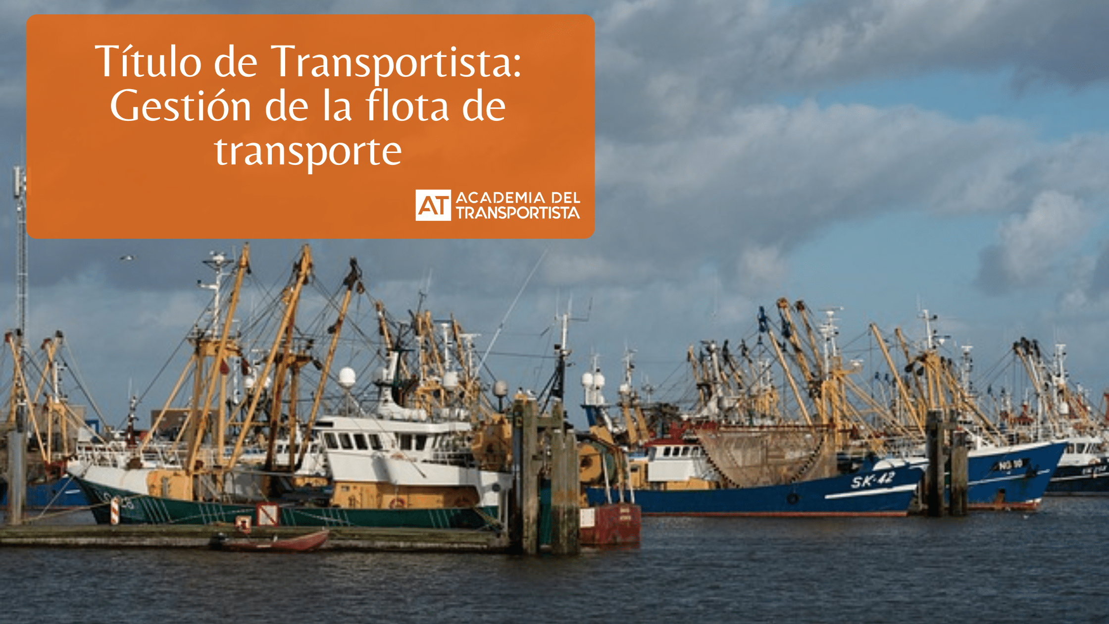 Copia de Plantilla Base 1 1