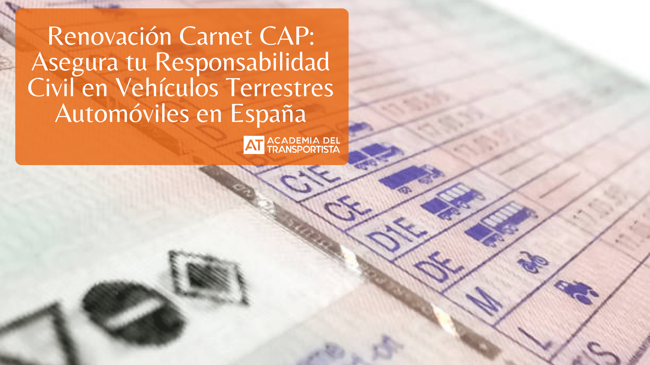 Copia de Plantilla Base 12