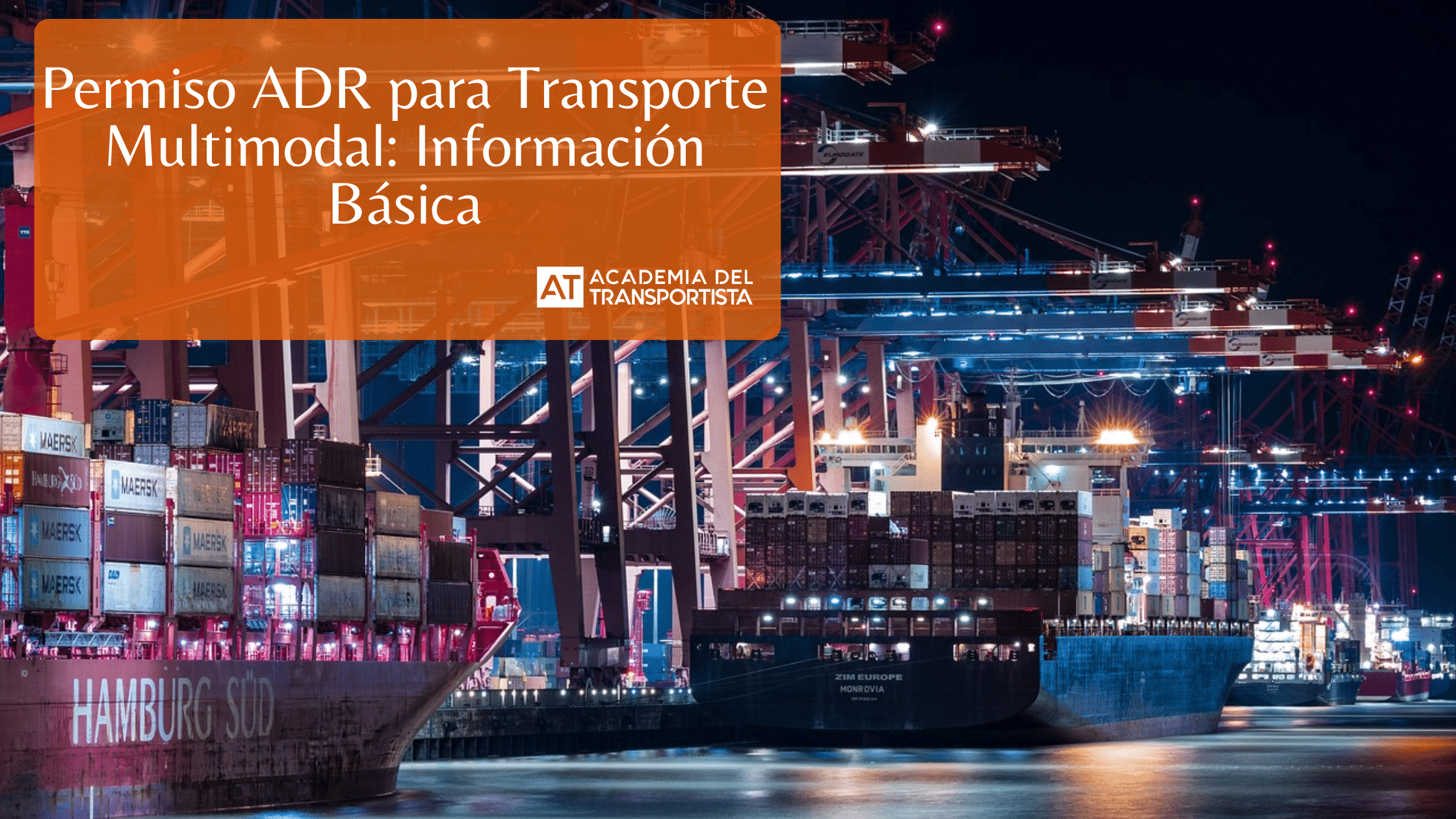 Copia de Plantilla Base 13