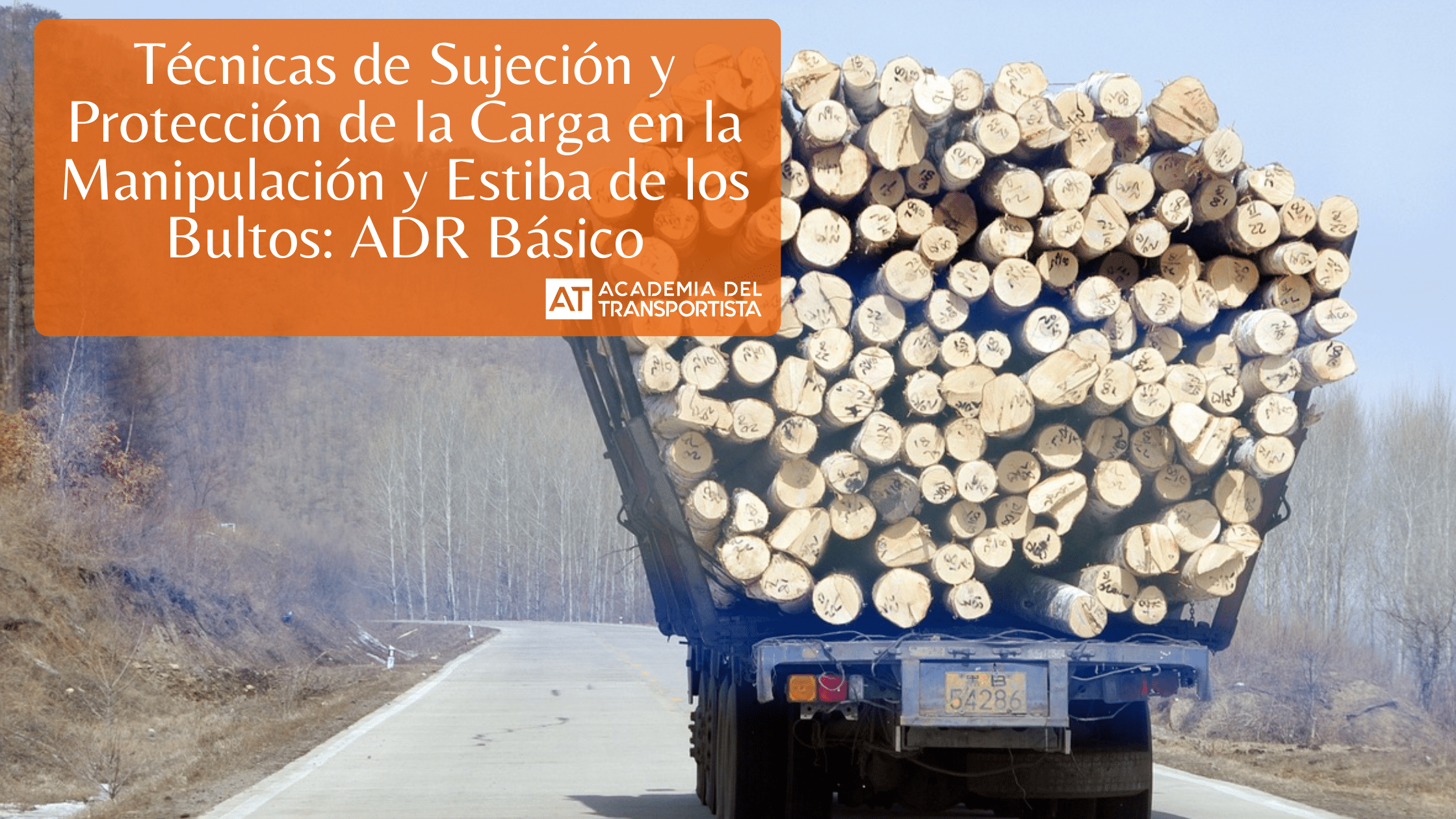 Copia de Plantilla Base 19