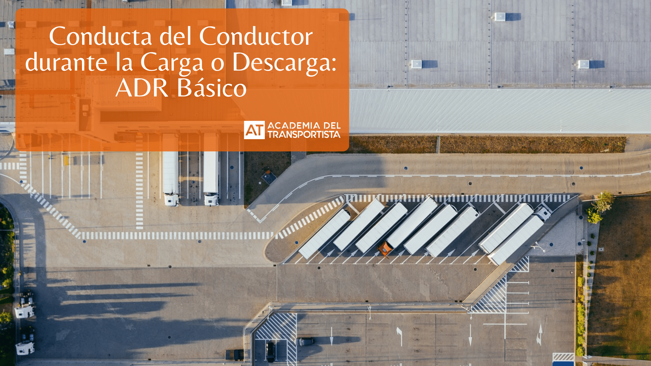 Copia de Plantilla Base 2
