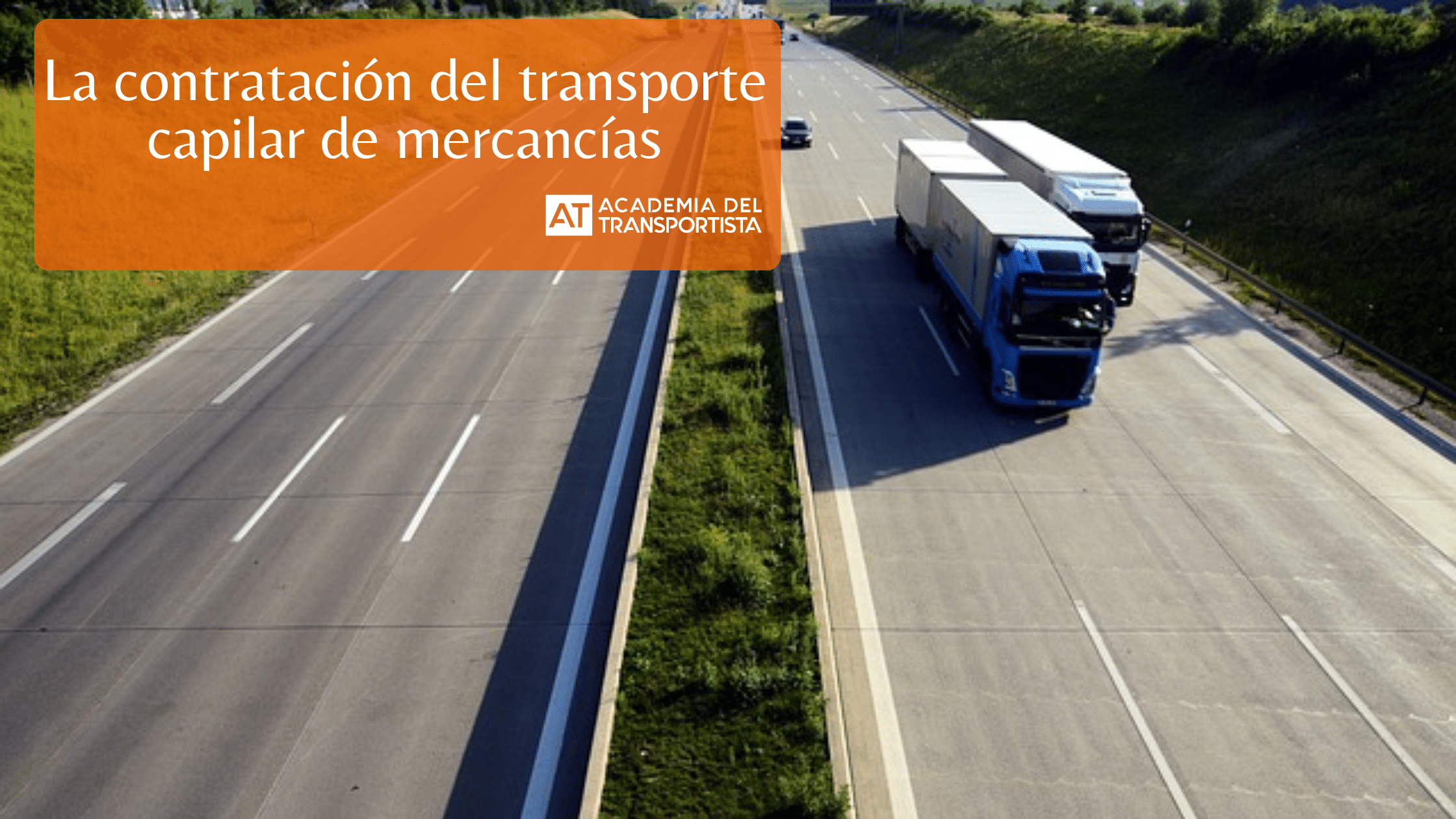 Copia de Plantilla Base 19
