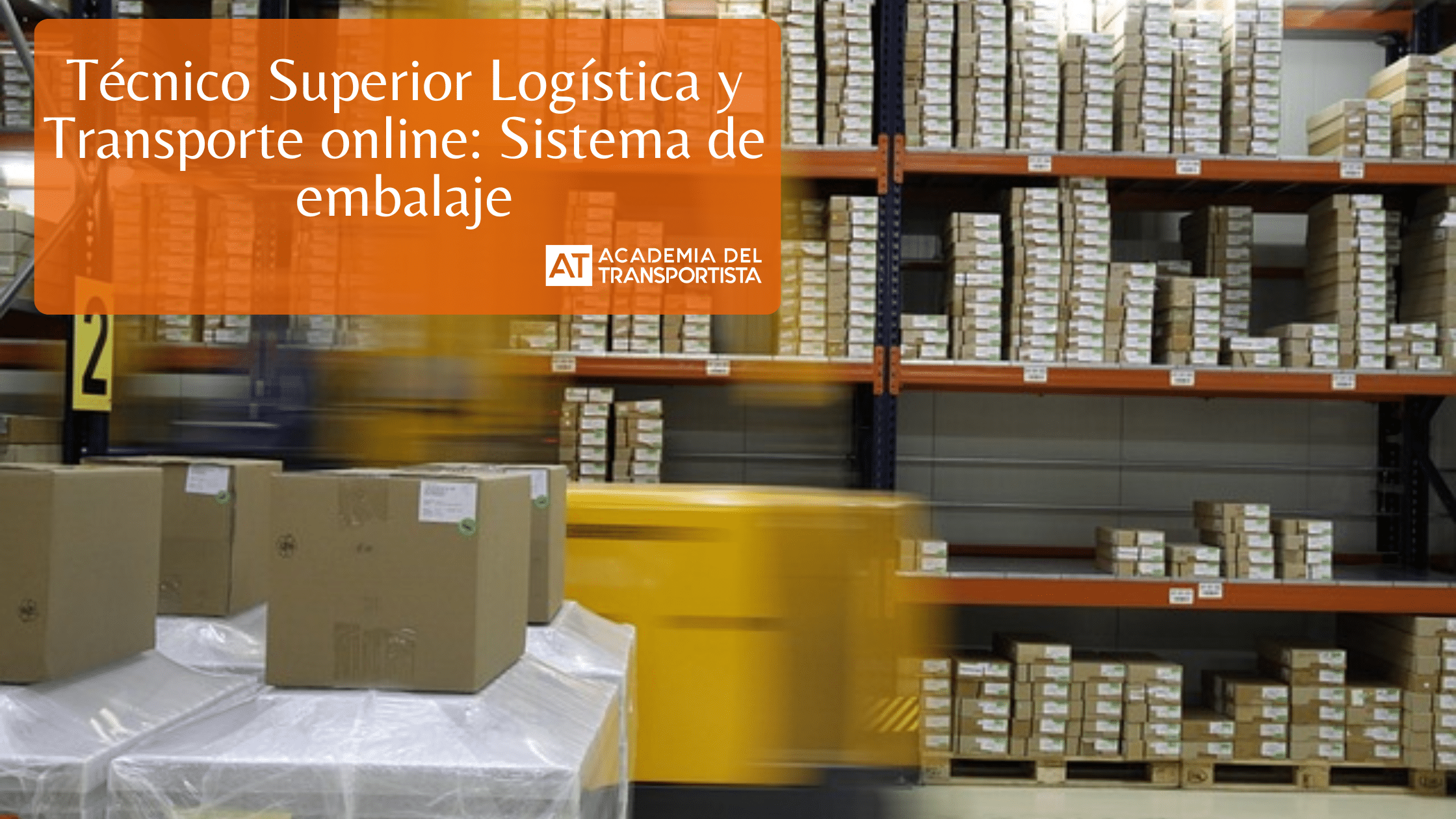 Copia de Plantilla Base 41