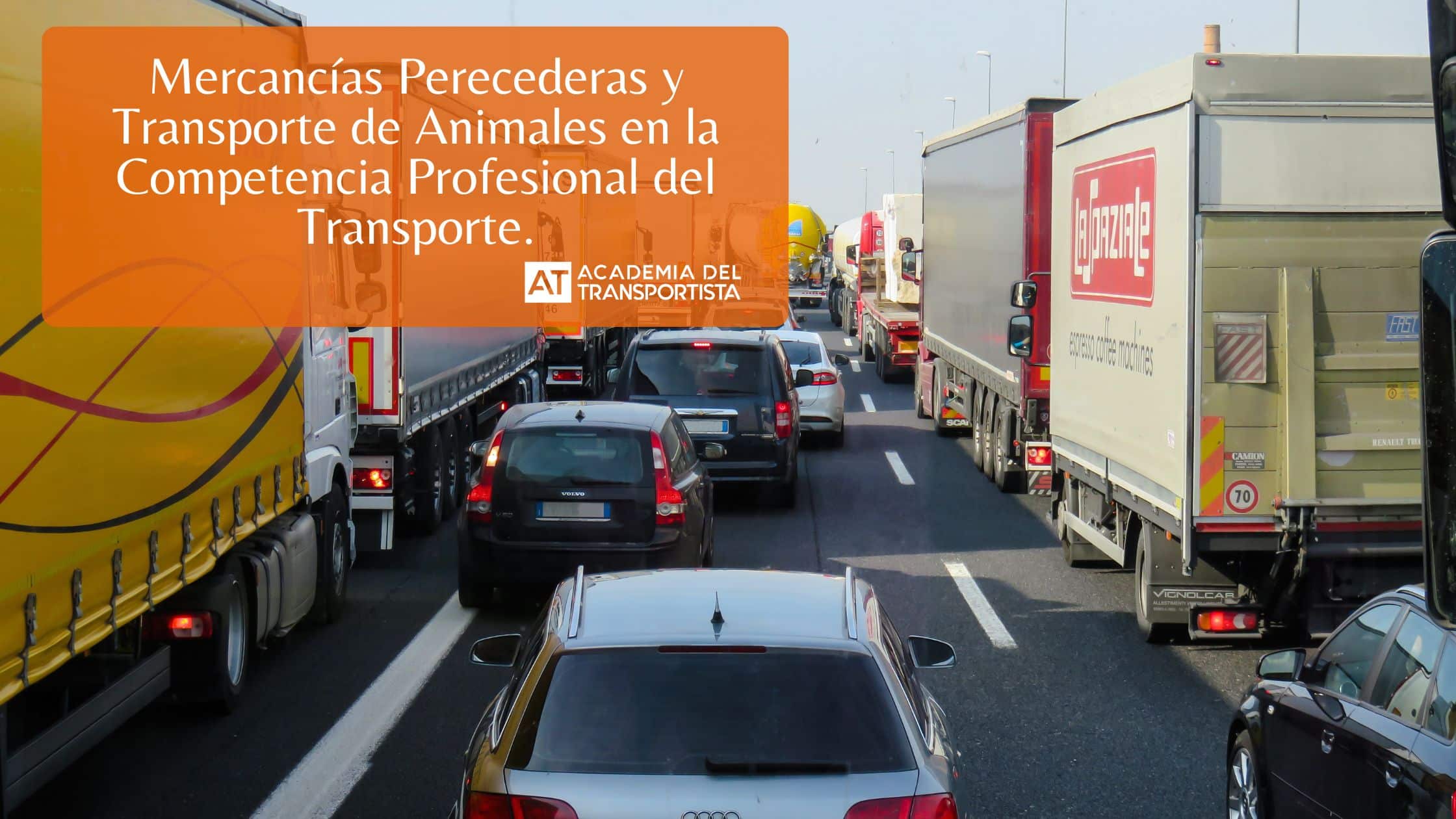 Mercancías Perecederas y Transporte de Animales en la Competencia Profesional del Transporte.
