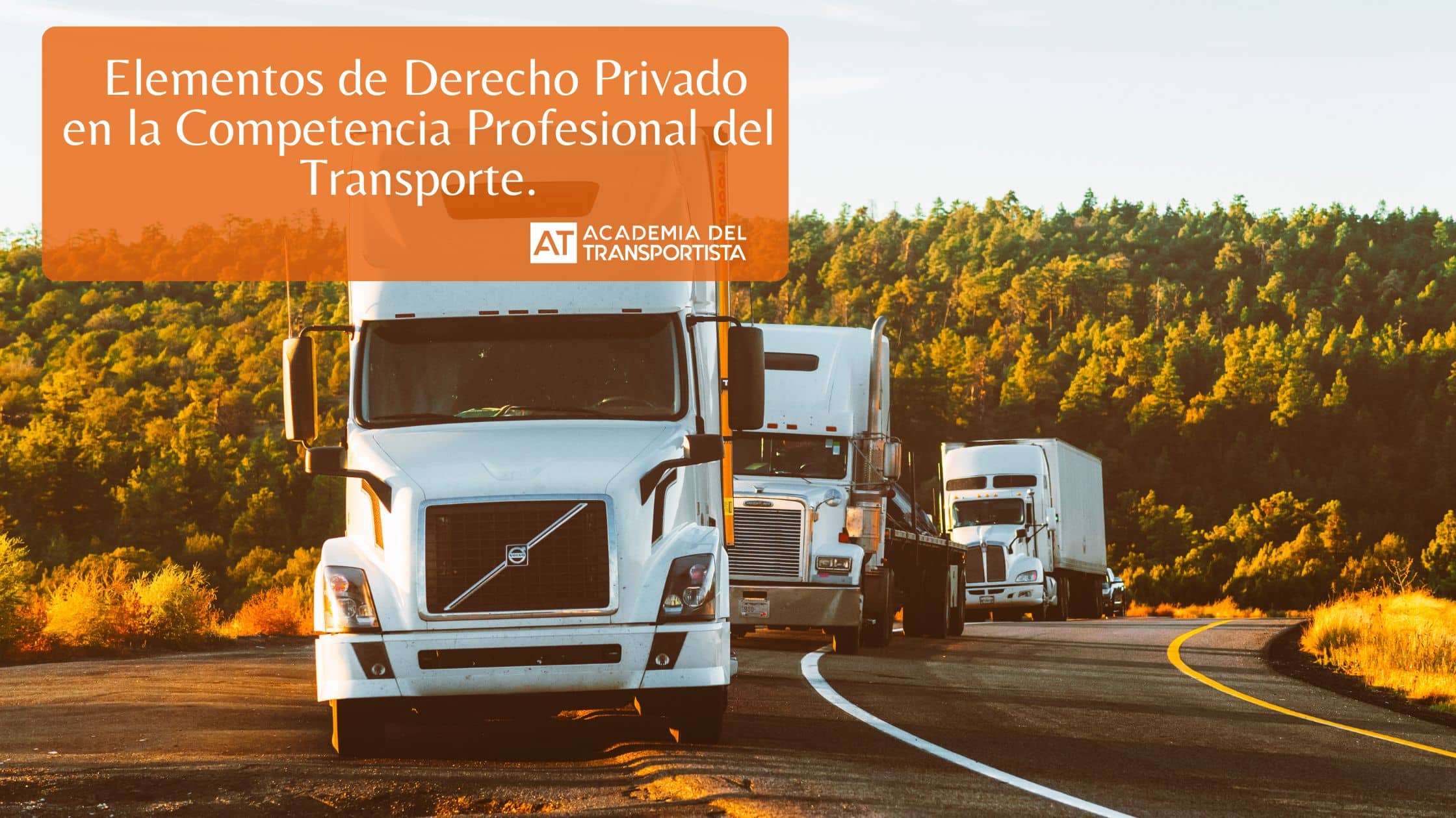 Elementos de Derecho Privado en la Competencia Profesional del Transporte.