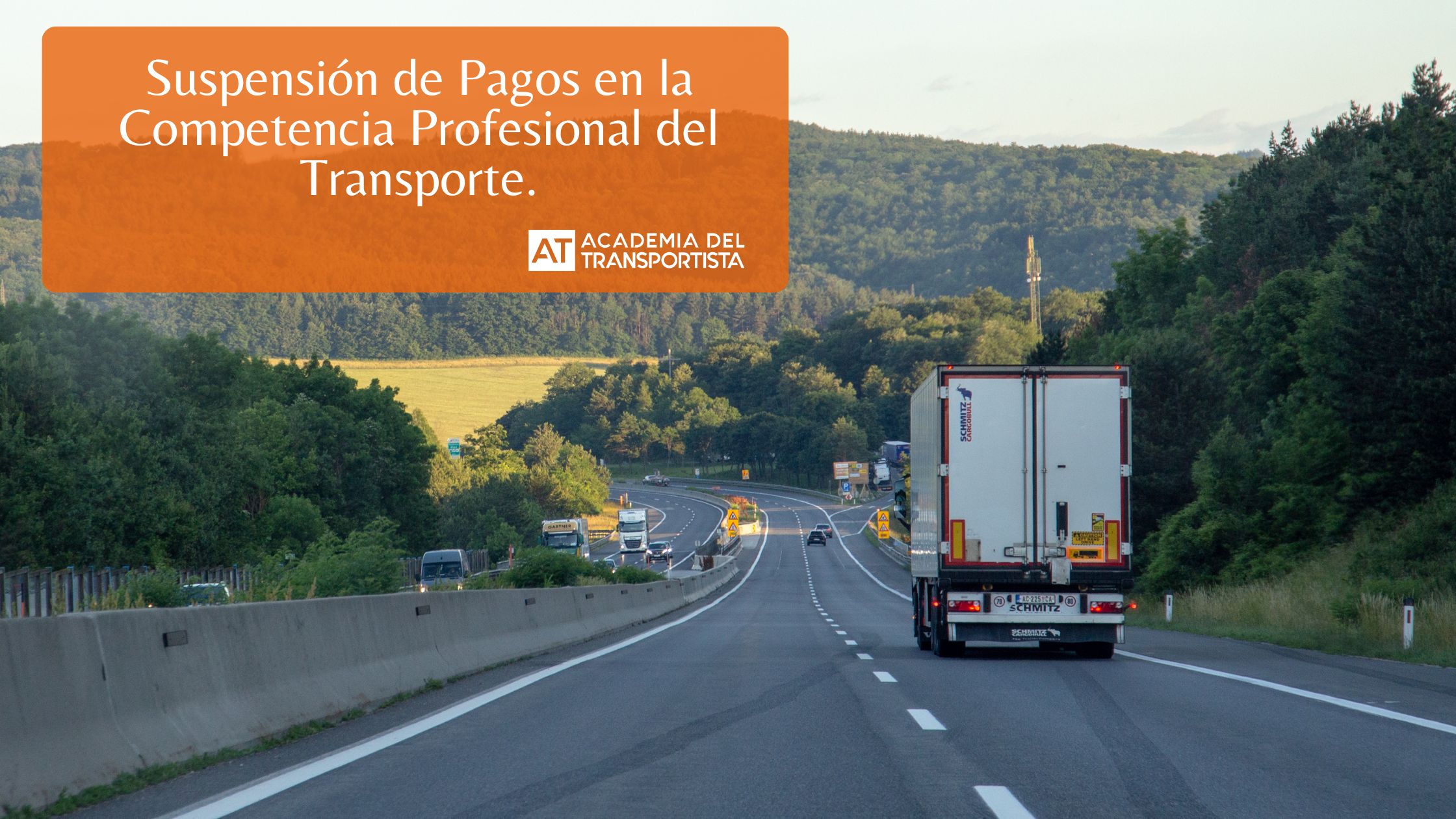 Suspensión de Pagos en la Competencia Profesional del Transporte.
