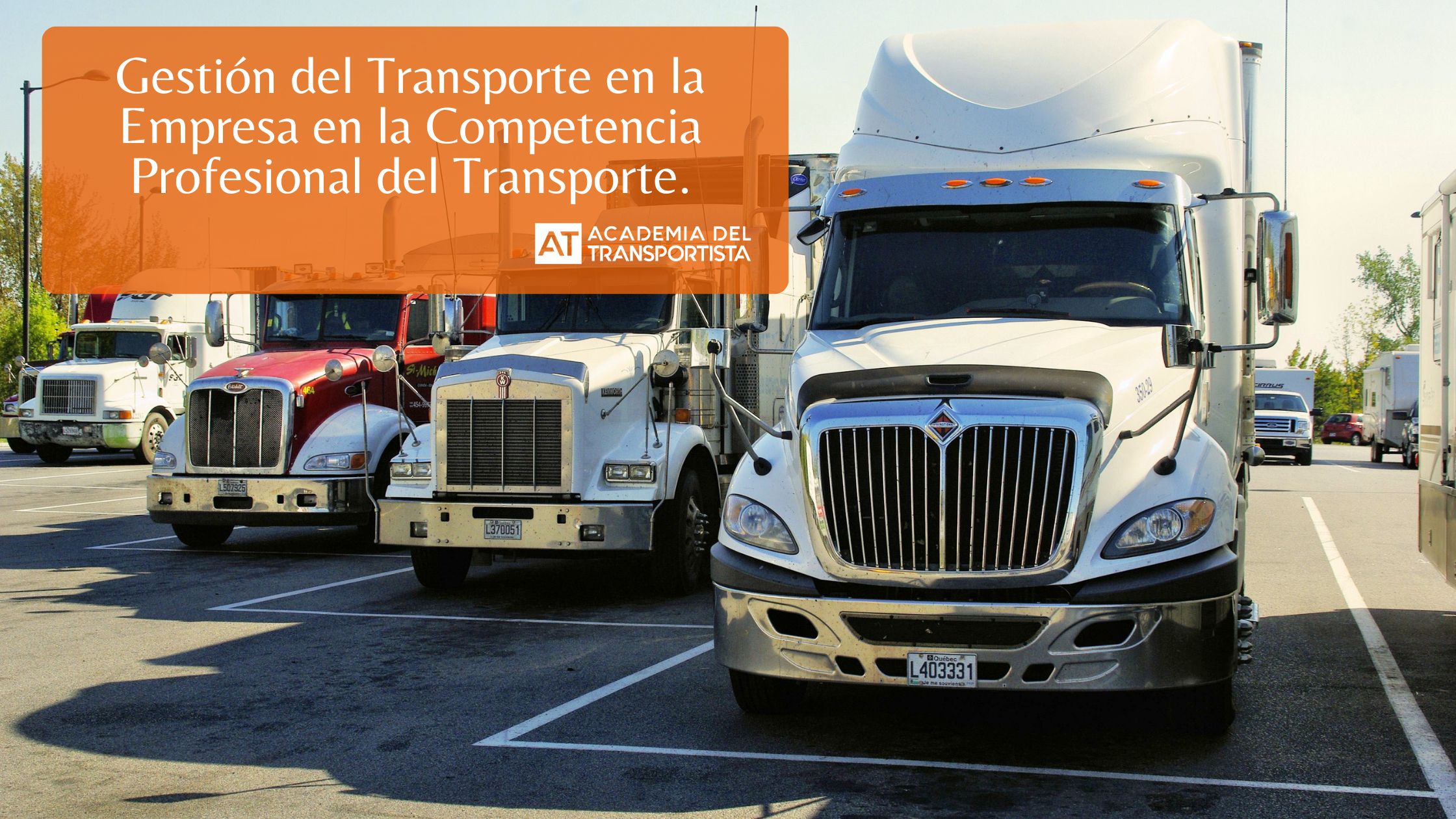 Gestión del Transporte en la Empresa en la Competencia Profesional del Transporte.