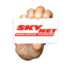 Icono_Skynet_Web6_-_copia_-_copia-transformed