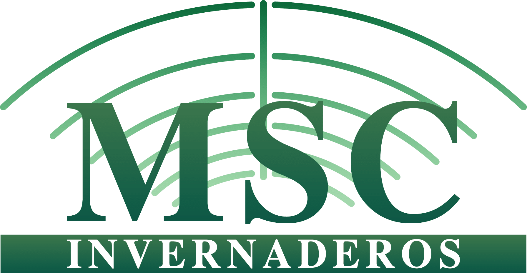 LOGO_MSC_PRINCIPAL